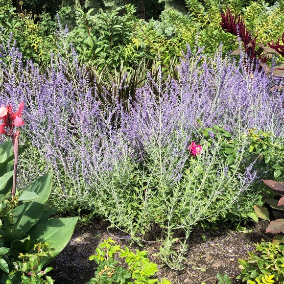 Meet your Posher, Vanessa - Picture 1 of 1